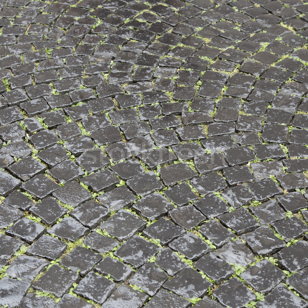 pattern of old cobble stone street in rain Stock photo © meinzahn