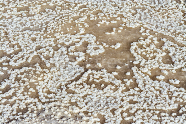 dried salt in a basin of a salt mine   Stock photo © meinzahn