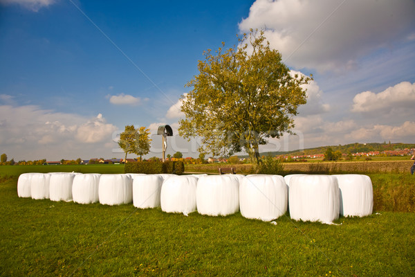 bale of straw in autumn in intensive colors Stock photo © meinzahn