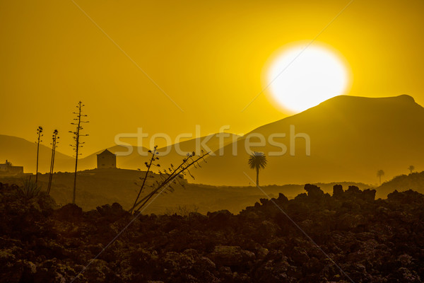 romantic sunset with standalone trees in volcanic area  Stock photo © meinzahn