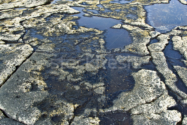 Belo pedra estrutura costa linha cidade Foto stock © meinzahn