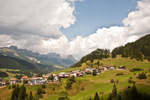 view over the meadows and agriculture in the dolomite alpes, near village Vigo Stock photo © meinzahn