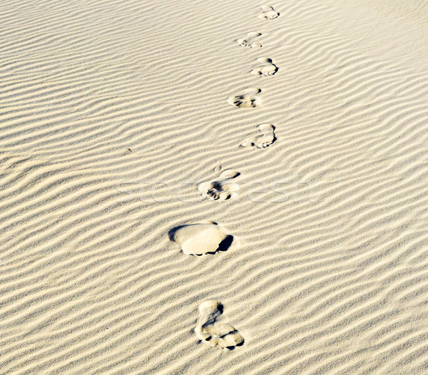  background of sand ripples at the beach with prints of feet Stock photo © meinzahn