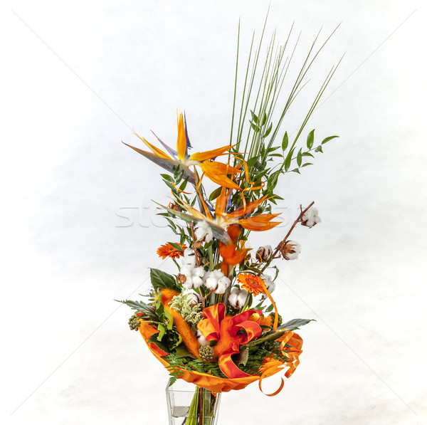 Colorful variety of flowers beautiful combined with grass and pa Stock photo © meinzahn