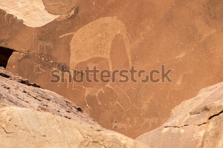 Bushman engravings in the granite rock, Twyfelfontein UNESCO Wor Stock photo © meinzahn