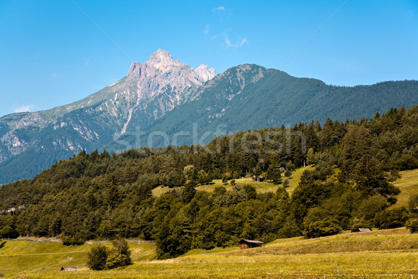 beautiful landscape in the tirolean Alps, good smelling grass an Stock photo © meinzahn