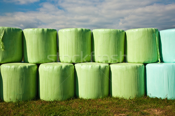 bale of straw infold in plastic film (foil) to keep dry  Stock photo © meinzahn