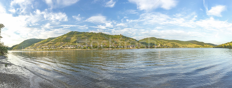 beatiful panoramic view to the Rhine valley Stock photo © meinzahn
