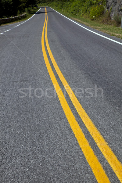 Beautiful scenic country road curves through Shenandoah  Nationa Stock photo © meinzahn