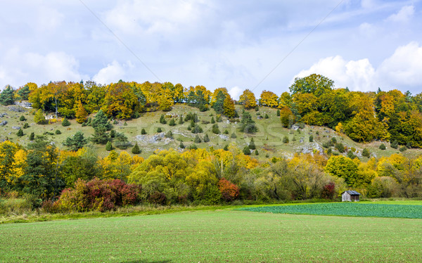 Panorama formazione rocciosa dodici alberi campo autunno Foto d'archivio © meinzahn