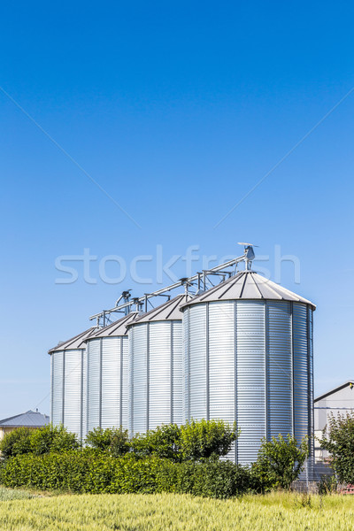 four silver silos in field under bright sky Stock photo © meinzahn