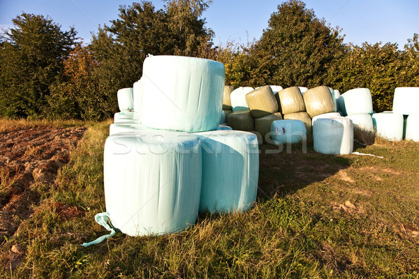 bale of straw infold in plastic film (foil) to keep dry in autum Stock photo © meinzahn