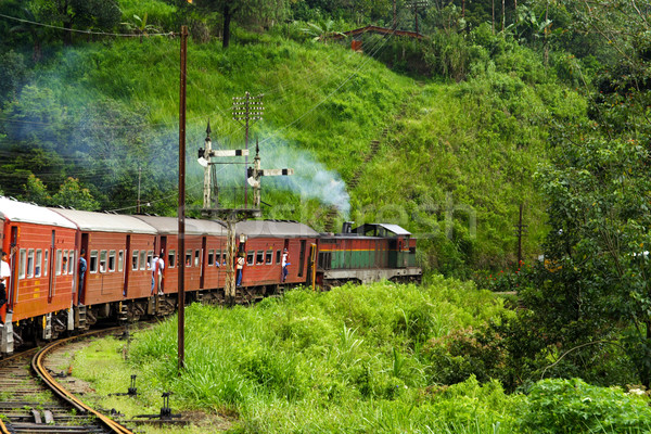  riding by train the scenic mountain track from Nuwarelia to Col Stock photo © meinzahn