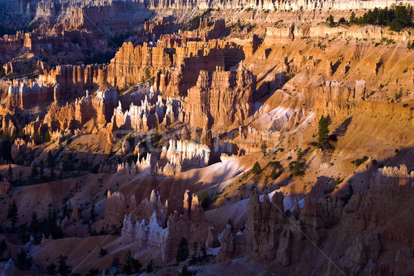 Unique and colorful hoodoo rock formations in the Bryce Canyon  Stock photo © meinzahn
