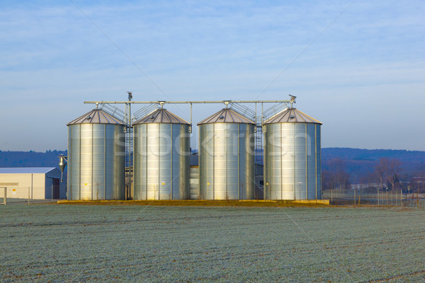 field in harvest with silo Stock photo © meinzahn