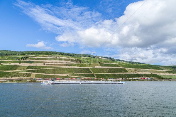 freight ship passes the vineyards at the Niederwald memoria Stock photo © meinzahn