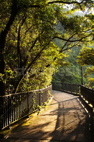 romantic peak way in Hong Kong, Victoria Stock photo © meinzahn