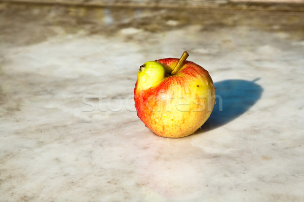 apples with interresting deformations give fantasy a chance Stock photo © meinzahn