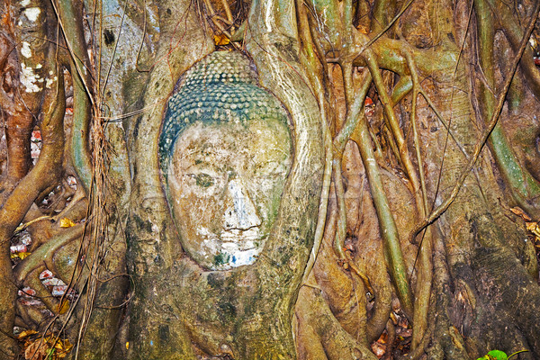 buddhas head in Mahathat temple in Ajutthaya is covered by roots Stock photo © meinzahn