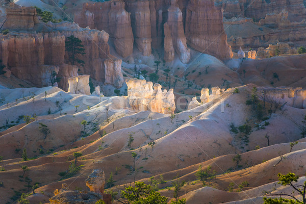 beautiful landscape in Bryce Canyon  Stock photo © meinzahn