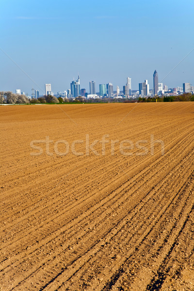 [[stock_photo]]: Vue · Skyline · Francfort · belle · arbre · ville