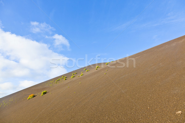 sparse vegetation on volcanic hills in Timanfaya National Park w Stock photo © meinzahn