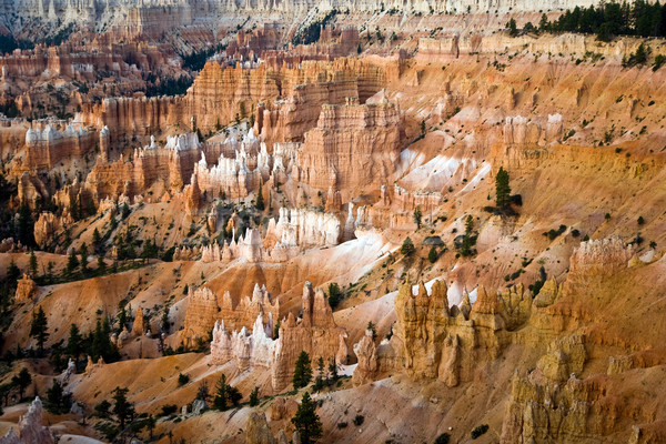 Unique and colorful hoodoo rock formations in the Bryce Canyon  Stock photo © meinzahn