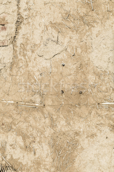 pattern of old historic wall filled with mud and straw Stock photo © meinzahn