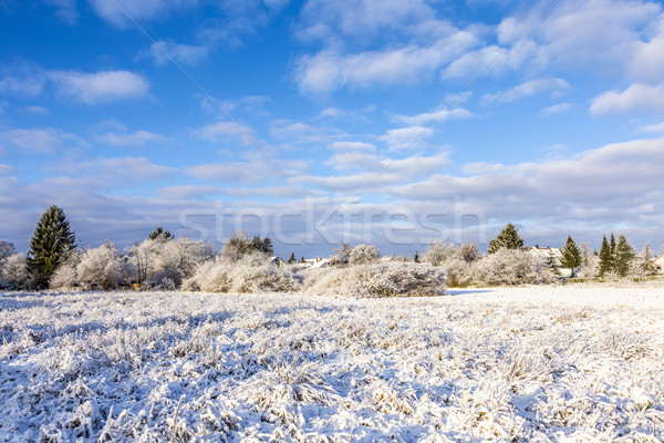 snow covered fields with settlement at the horizon in Munich Stock photo © meinzahn