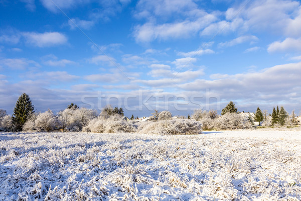 Sneeuw gedekt velden horizon München hemel Stockfoto © meinzahn