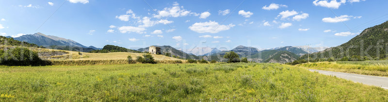 fields in the Provence with view to the Alps Stock photo © meinzahn