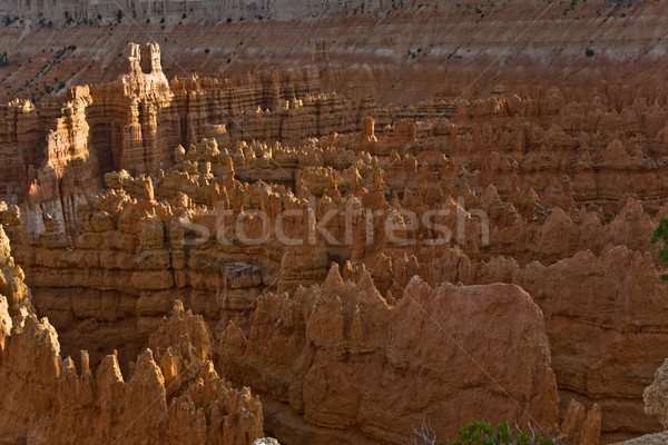 Belo paisagem desfiladeiro magnífico pedra formação Foto stock © meinzahn