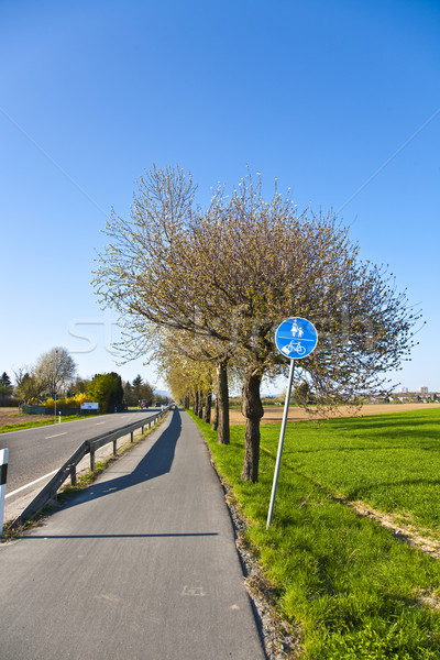 Foto stock: Florescimento · árvore · rua · bicicleta · flor