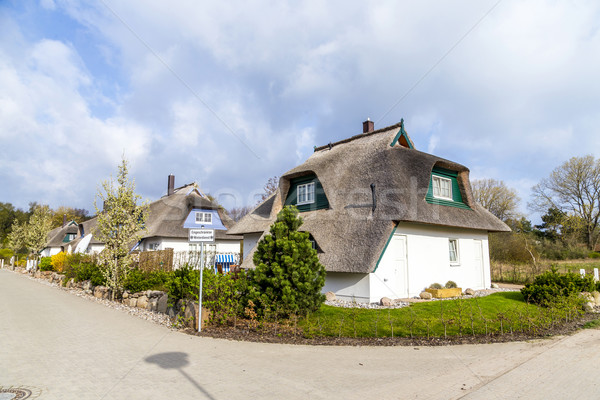 typical village house with reed roof  Stock photo © meinzahn