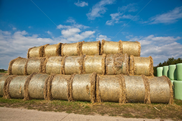 bale of straw infold in plastic film (foil) to keep dry  Stock photo © meinzahn