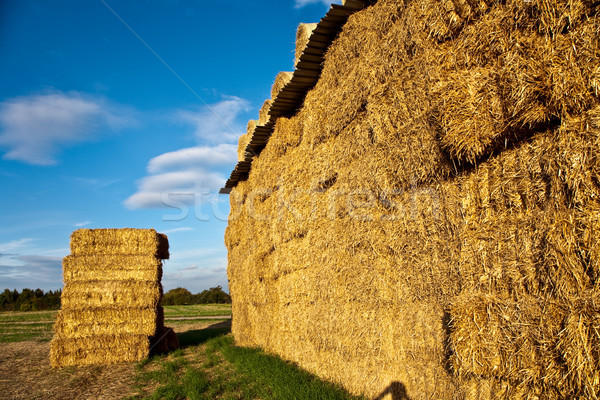 Bale paille intensive couleurs ciel soleil [[stock_photo]] © meinzahn