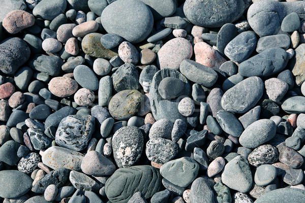 Pietre spiaggia terranova Canada natura rock Foto d'archivio © melking