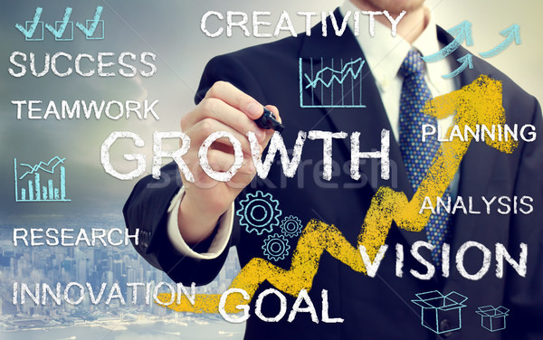 Zakenman groei succes innovatie visie Stockfoto © Melpomene