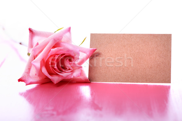 Rózsaszín rózsa üzenet kártya rózsaszín fa asztal virág Stock fotó © Melpomene