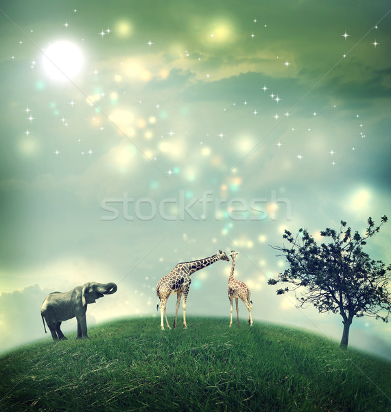 Giraffes and elephant on a hilltop  Stock photo © Melpomene