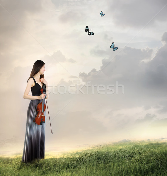 Violonist munte top vioară player fluturi Imagine de stoc © Melpomene