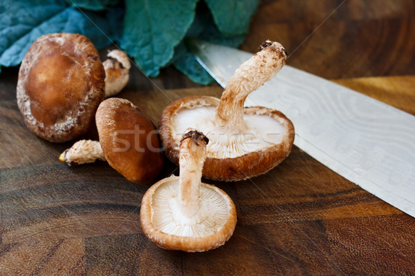 Mushrooms and kale  Stock photo © Melpomene