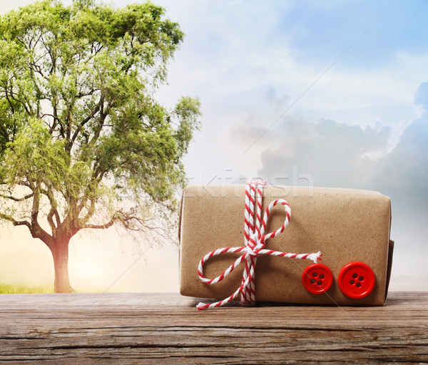 El yapımı hediye kutusu fantezi manzara kırmızı Stok fotoğraf © Melpomene