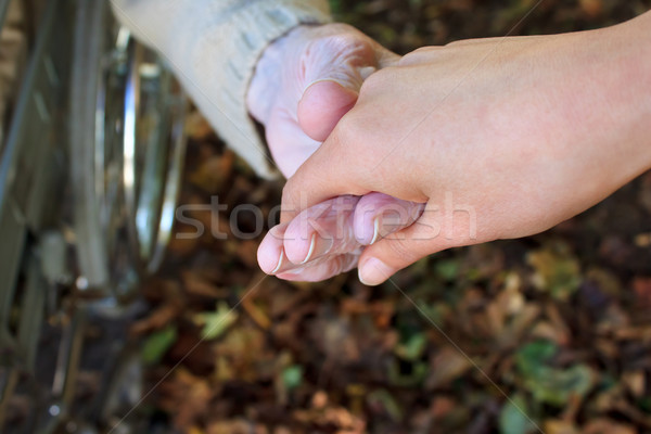 Segítő kéz ősz fiatal idős kéz a kézben őszi levelek Stock fotó © Melpomene