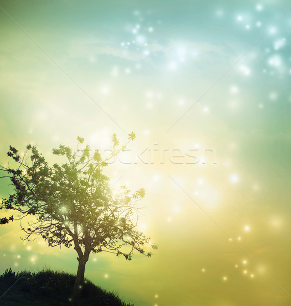 Drzewo sylwetka zmierzch zielone żółty kolorowy Zdjęcia stock © Melpomene