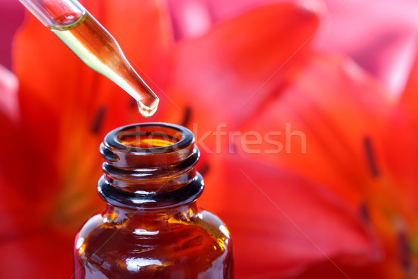Gyógynövény cseppentő üveg virágok piros liliomok Stock fotó © Melpomene