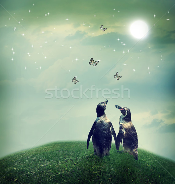 Penguin couple in fantasy landscape Stock photo © Melpomene