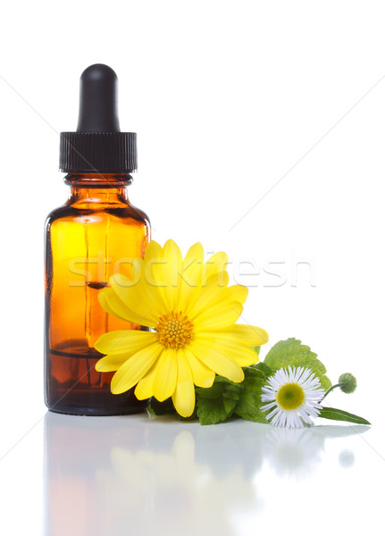 Gyógynövény aromaterápia cseppentő üveg virágok orvosi Stock fotó © Melpomene