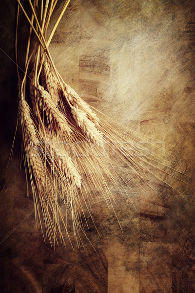 Ears of wheat  Stock photo © Melpomene