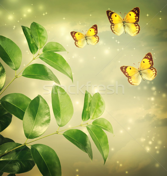 Butterflies on Green Star lights Background Stock photo © Melpomene